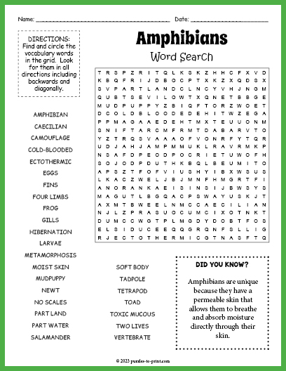 Amphibians Word Search