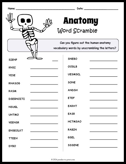 Anatomy Word Scramble