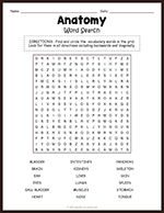 Anatomy Word Search thumbnail
