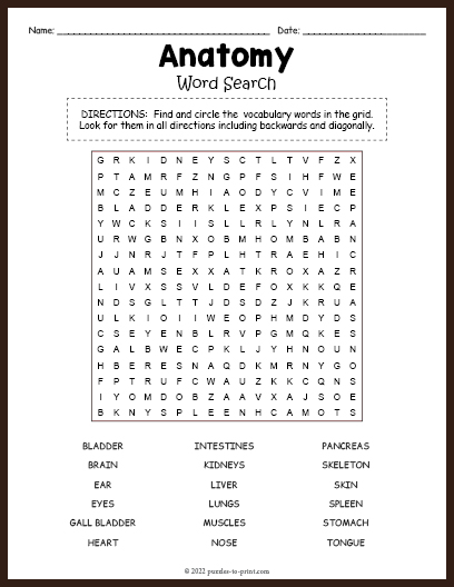 Anatomy Word Search
