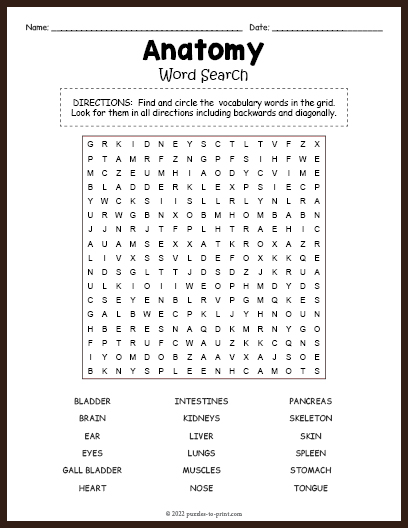 Anatomy Word Search Puzzles