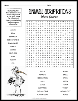 Free printable Animal Adaptations Word Search puzzle worksheet