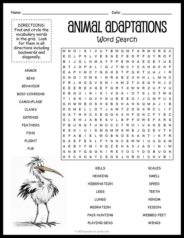 Animal Adaptations Word Search