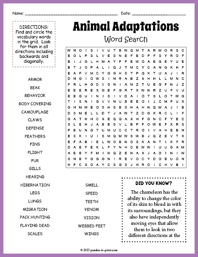 Animal Adaptations Word Search