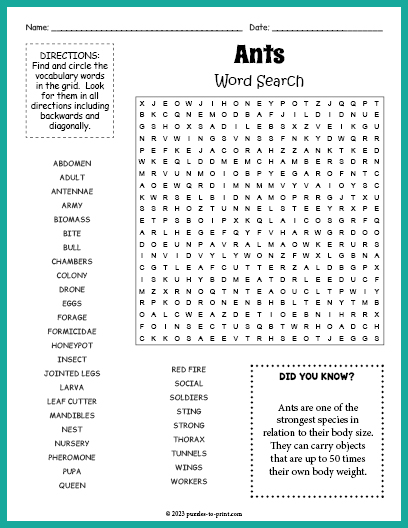 Ants Word Search