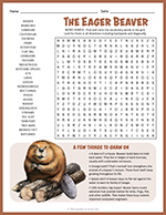 Beaver Word Search thumbnail