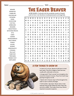 Free Printable Beaver Word Search Puzzle Worksheet