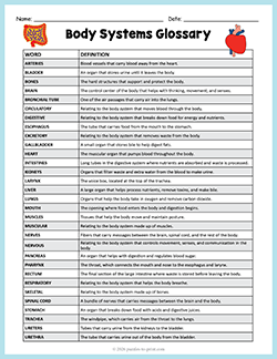 Free printable Body Systems Glossary