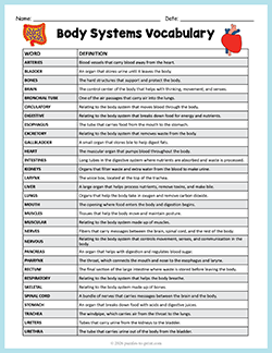 Printable body systems vocabulary list and definitions