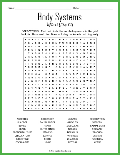 Body Systems Word Search
