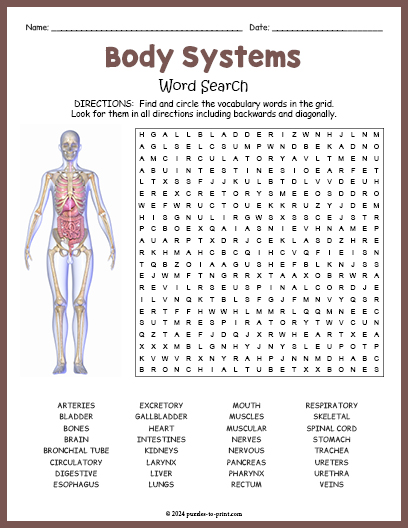 Body Systems Word Search