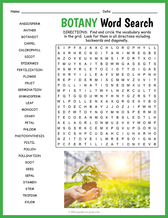 Botany Word Search