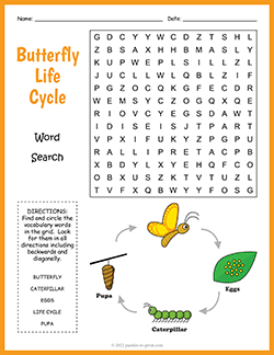 Free printable Butterfly Life Cycle Word Search puzzle worksheet