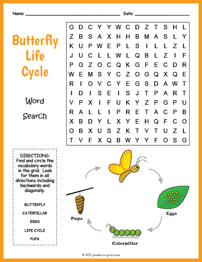 Butterfly Life Cycle Word Search