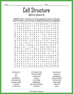 Cell Structure Word Search Thumbnail