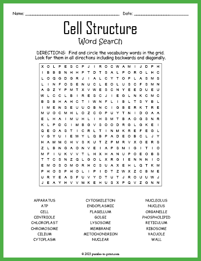 Cell Structure Word Search