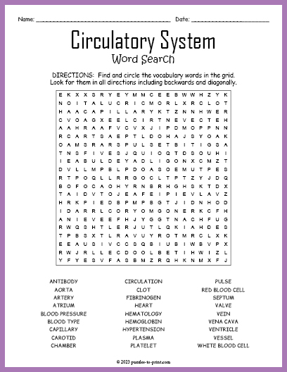 Circulatory System Word Search