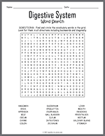 Digestive System Word Search thumbnail