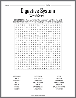 Free printable Digestive System Word Search puzzle worksheet