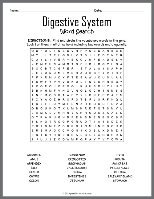Digestive System Word Search