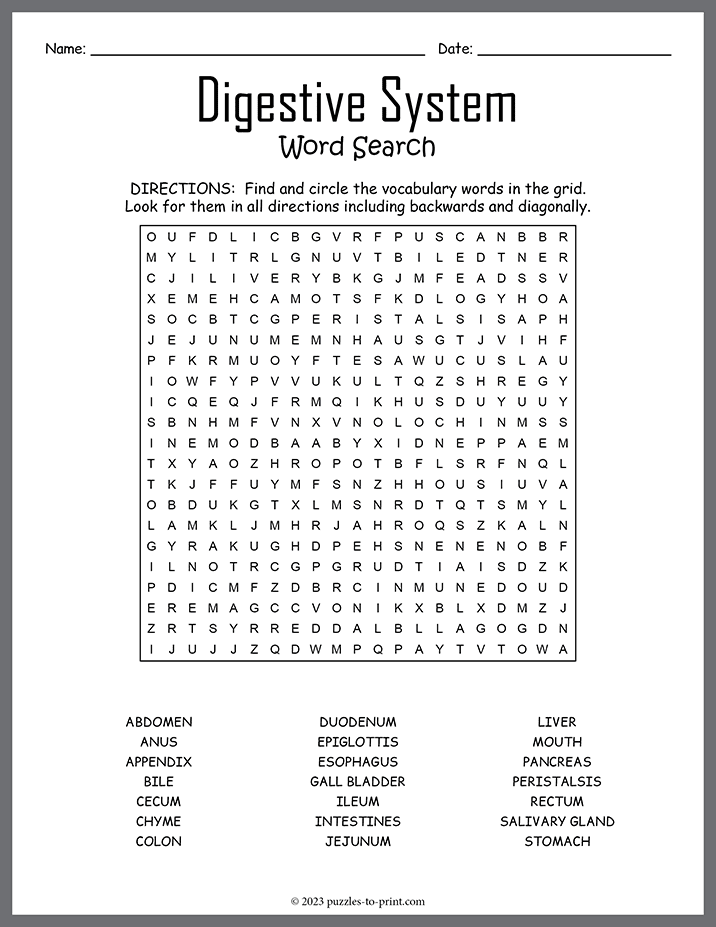 Digestive System Word Search