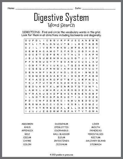 Digestive System Word Search