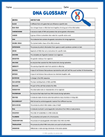 DNA Glossary thumbnail