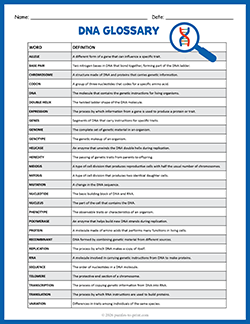 Free printable DNA Glossary