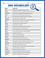 DNA Vocabulary thumbnail