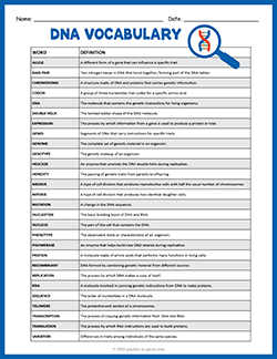 Printable DNA vocabulary list and definitions
