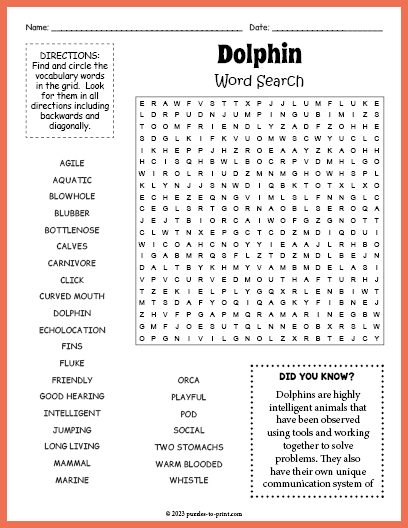 Dolphin Word Search