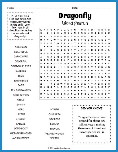 Dragonfly Word Search