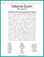 Endocrine System Word Search Thumbnail