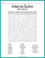 Endocrine System Word Search thumbnail