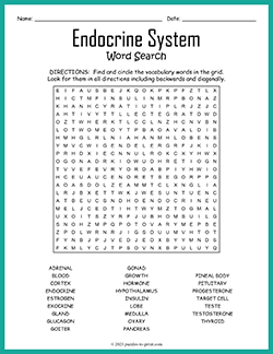 Free printable Endocrine System Word Search puzzle worksheet