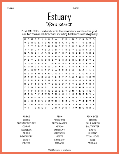 Estuary Word Search