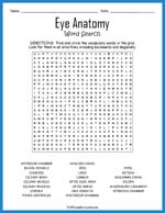 Eye Anatomy Word Search Thumbnail