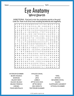 Free printable Eye Anatomy Word Search puzzle worksheet