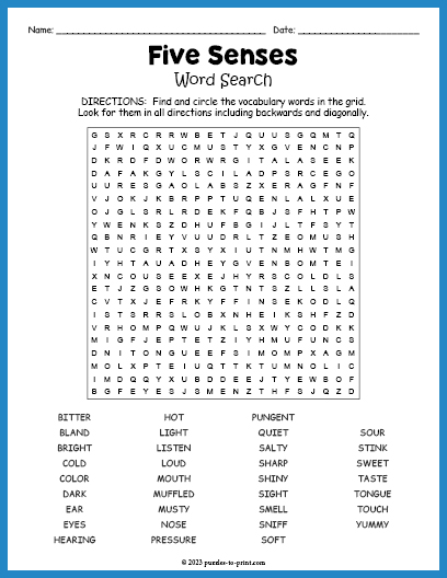 Five Senses Word Search