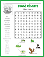 Food Chains Word Search thumbnail