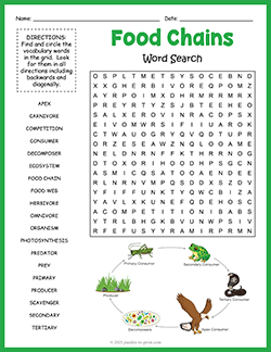 Free printable Food Chains Word Search puzzle worksheet