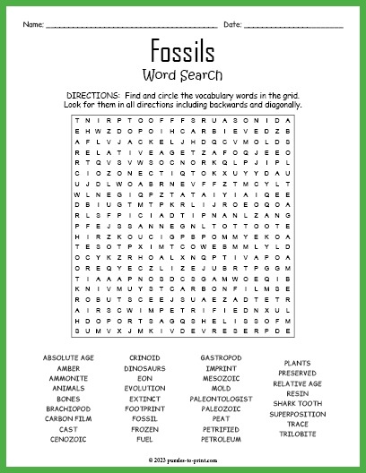 Fossils Word Search