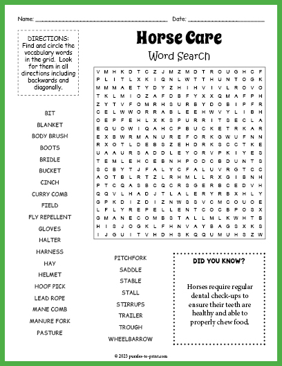 Horse Care Word Search