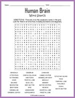Human Brain Word Search Thumbnail