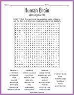 Human Brain Word Search Thumbnail