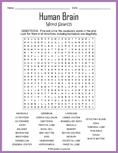 Human Brain Word Search