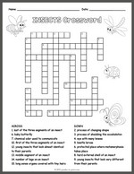 Insects Crossword thumbnail