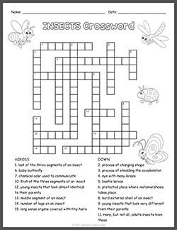 Free printable Insects Crossword puzzle worksheet