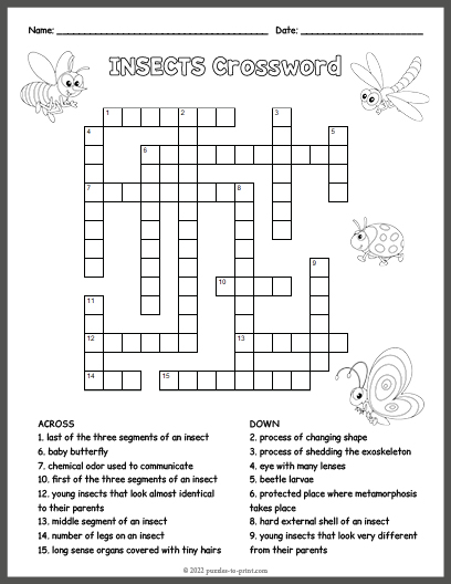 Insects Crossword