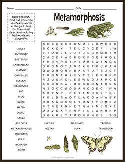 Free Printable Metamorphosis Word Search Puzzle Worksheet